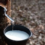 WhatsApp Image 2026-02-13 at 15.37.11