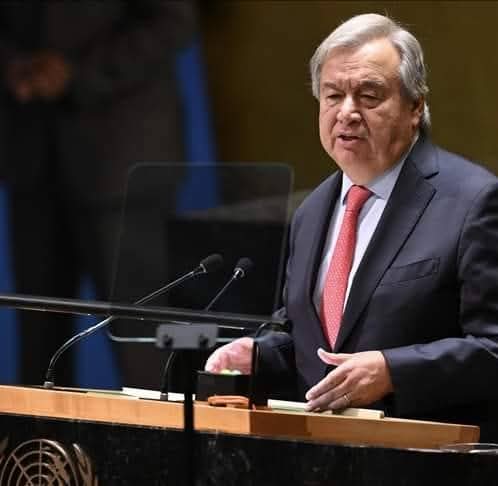 WhatsApp Image 2026-02-16 at 19.48.59