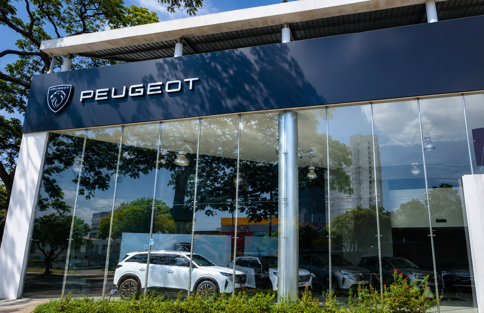 Peugeot fortalece su presencia en Bogotá y Cúcuta con nuevos concesionarios